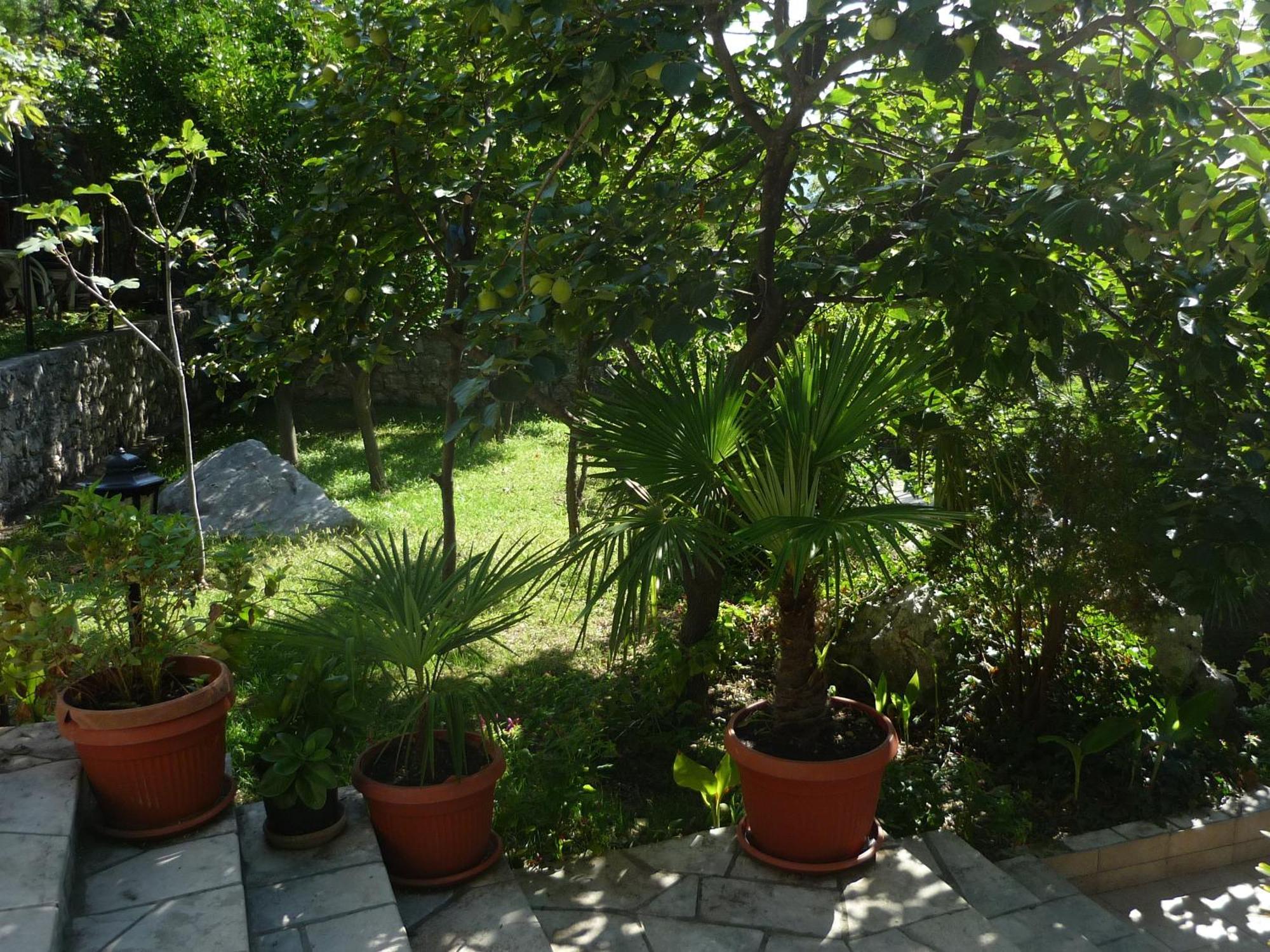 Apartments Villa Pm Kotor Eksteriør billede