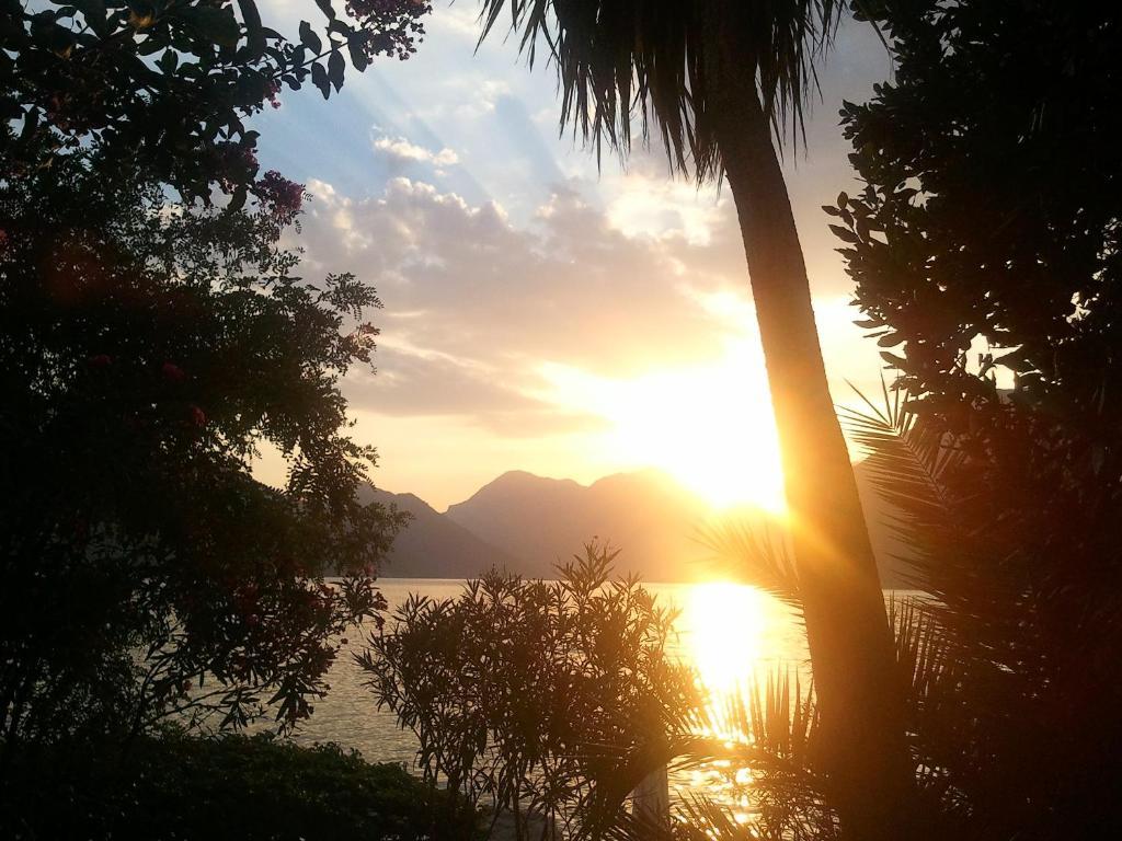 Apartments Villa Pm Kotor Eksteriør billede